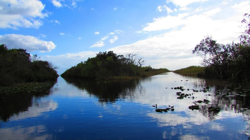 everglades-1362247_960_720.jpg