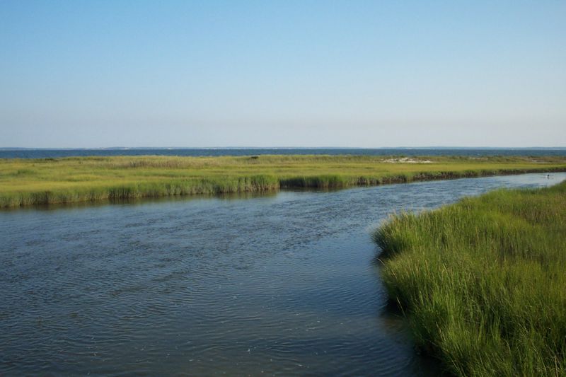 2004-08-09_-_North_Fork_-_Wetlands_00_4887135053.jpg