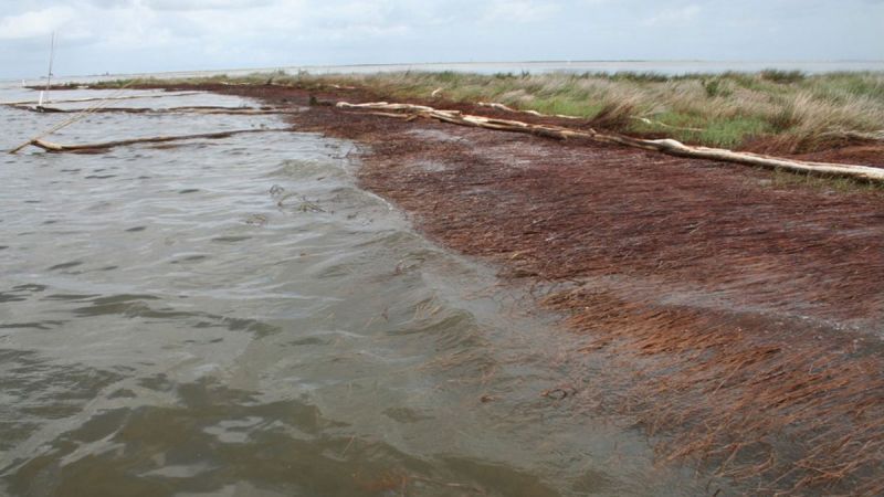 oilspill20161117-16_main.jpg
