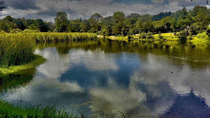 landscape-2937690_960_720.jpg