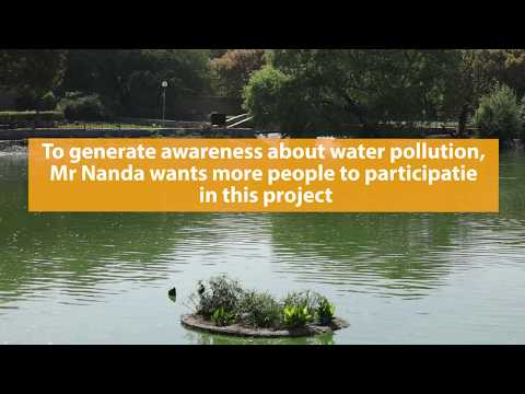 Reviving a Lake Using Artificial Wetlands in Delhi (VIDEO)