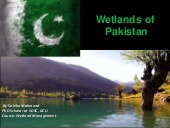 Wetlands of Pakistan