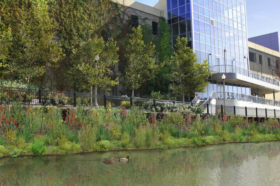 Chicago River Gets 600 Feet of Floating Gardens