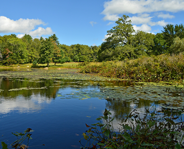 Private-Public ​Partnership ​Protects Wetlands in Massachusetts