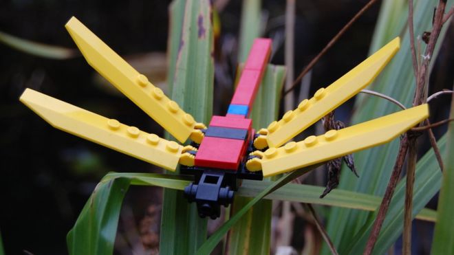 Lego Wetland Model for Promotion of Wetlands Conservation