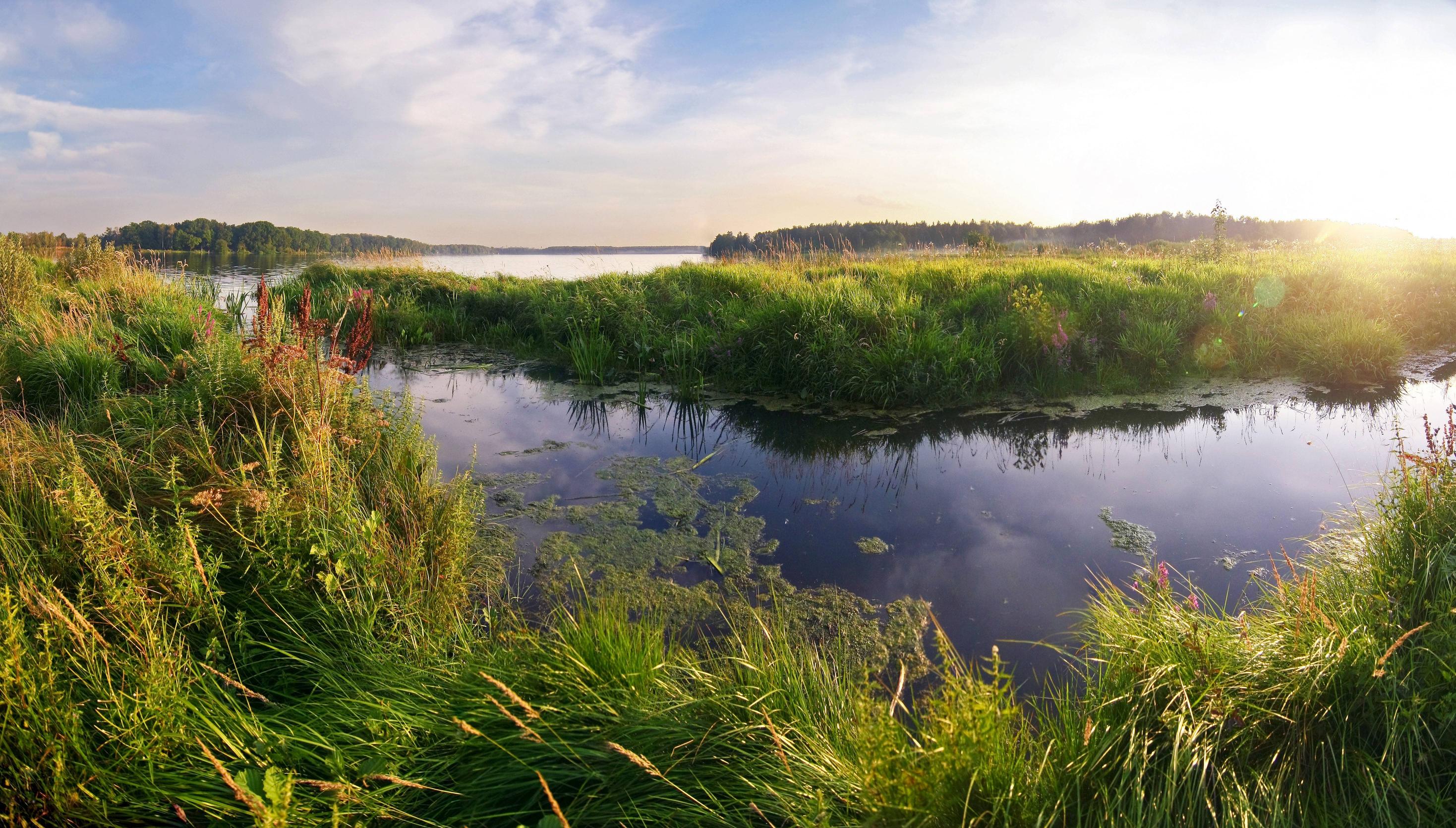 USDA Invests in Wetlands