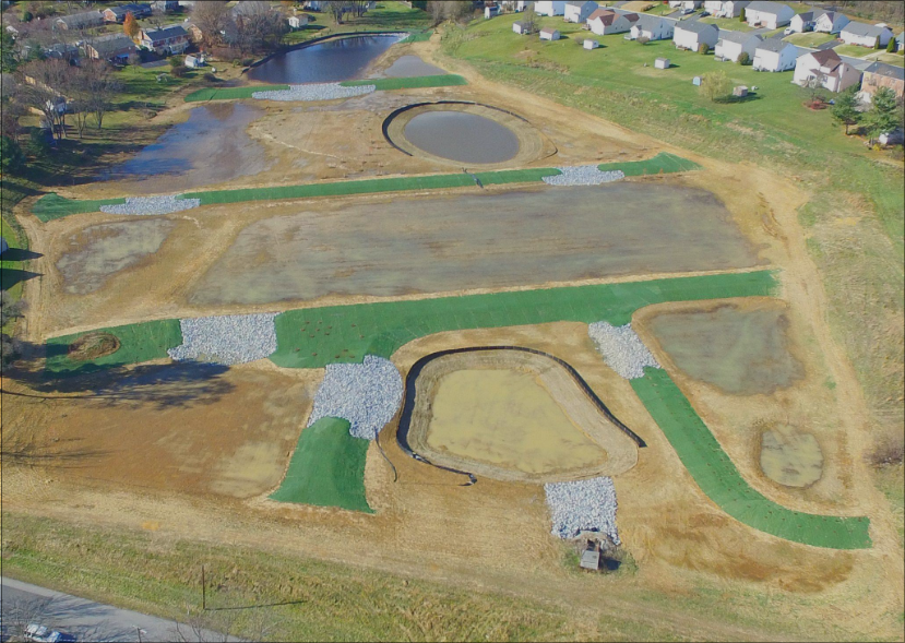 Grassy Field Turned Into An Award-winning Wetland