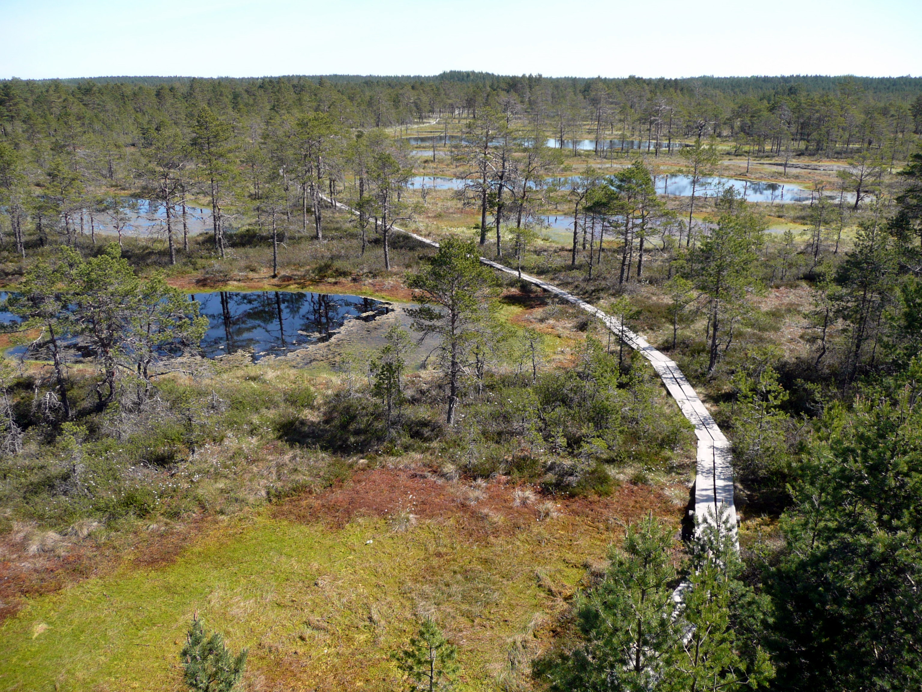 Rapid Protection of Wetlands Critical to Environmental and Economic Health of the Hudson Valley