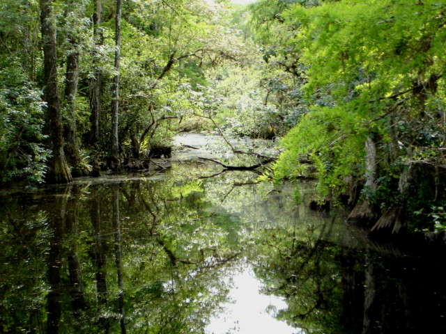 World’s Largest Freshwater Wetland in Danger