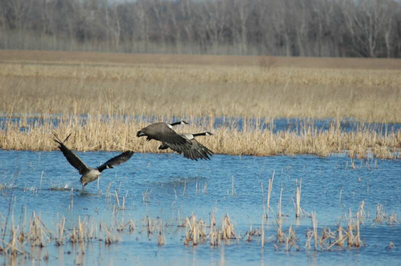 Funding for Protection of Missouri Wetlands and Agricultural Land