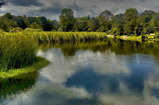 Study Shows Wetlands Provide Landscape-scale Reduction in Nitrogen Pollution