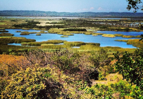 123 Wetlands Rehabilitated in South Africa