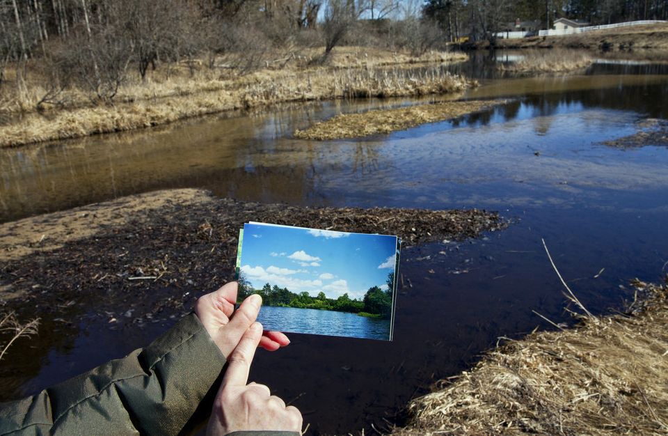 More Pumping Could Harm Wetlands, Nestle's Study Suggests