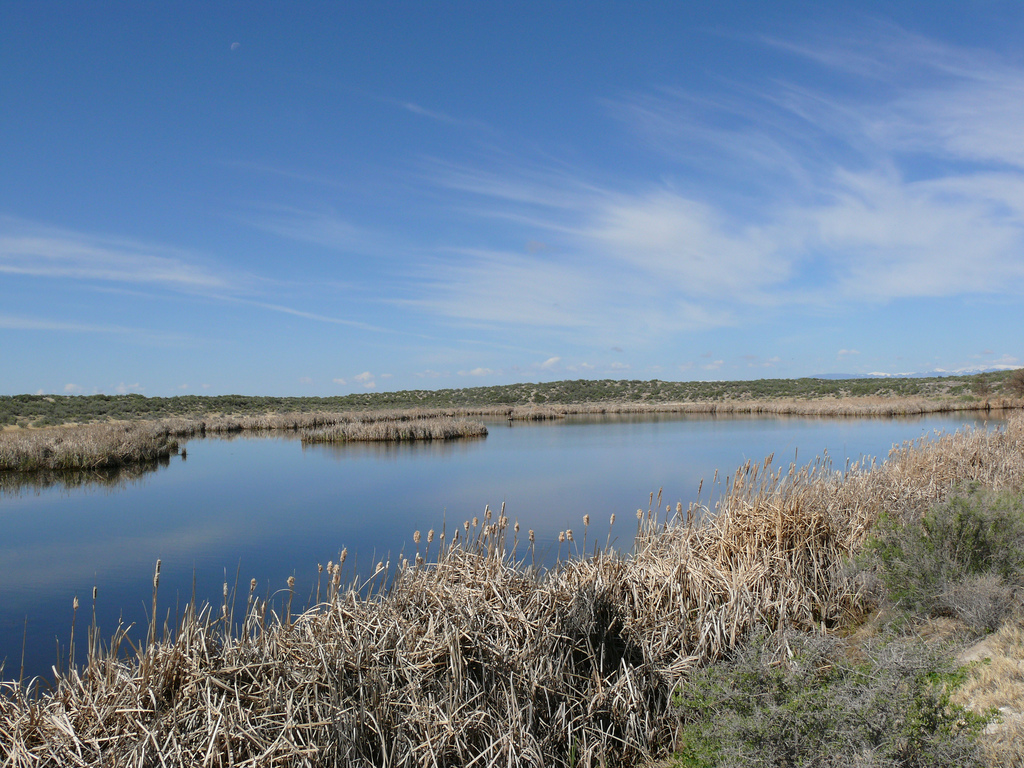 San Luis Valley wetlands, riparian habitat study to document change in So. Colo.