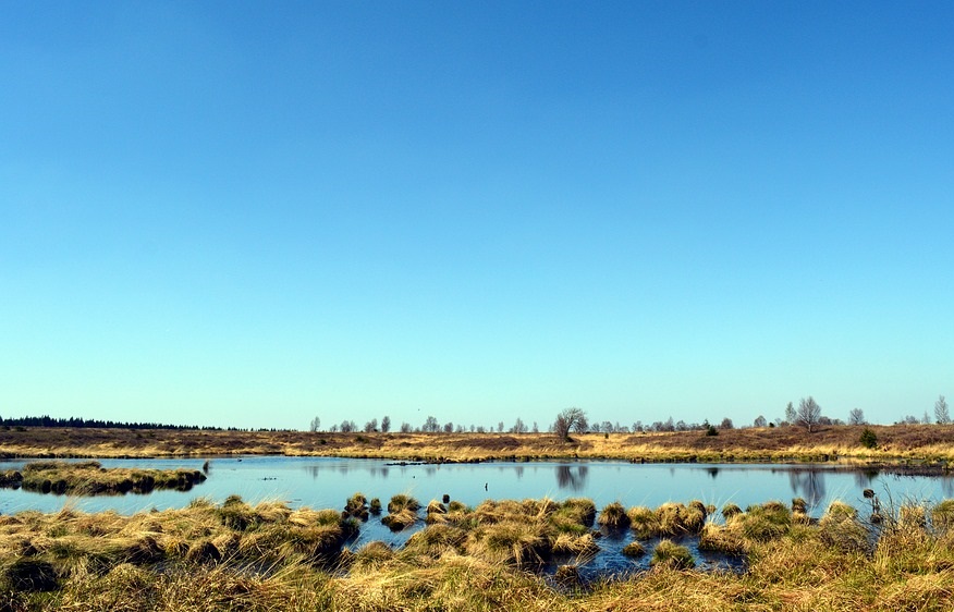 Ancient Wetlands Offer Window into Climate Change