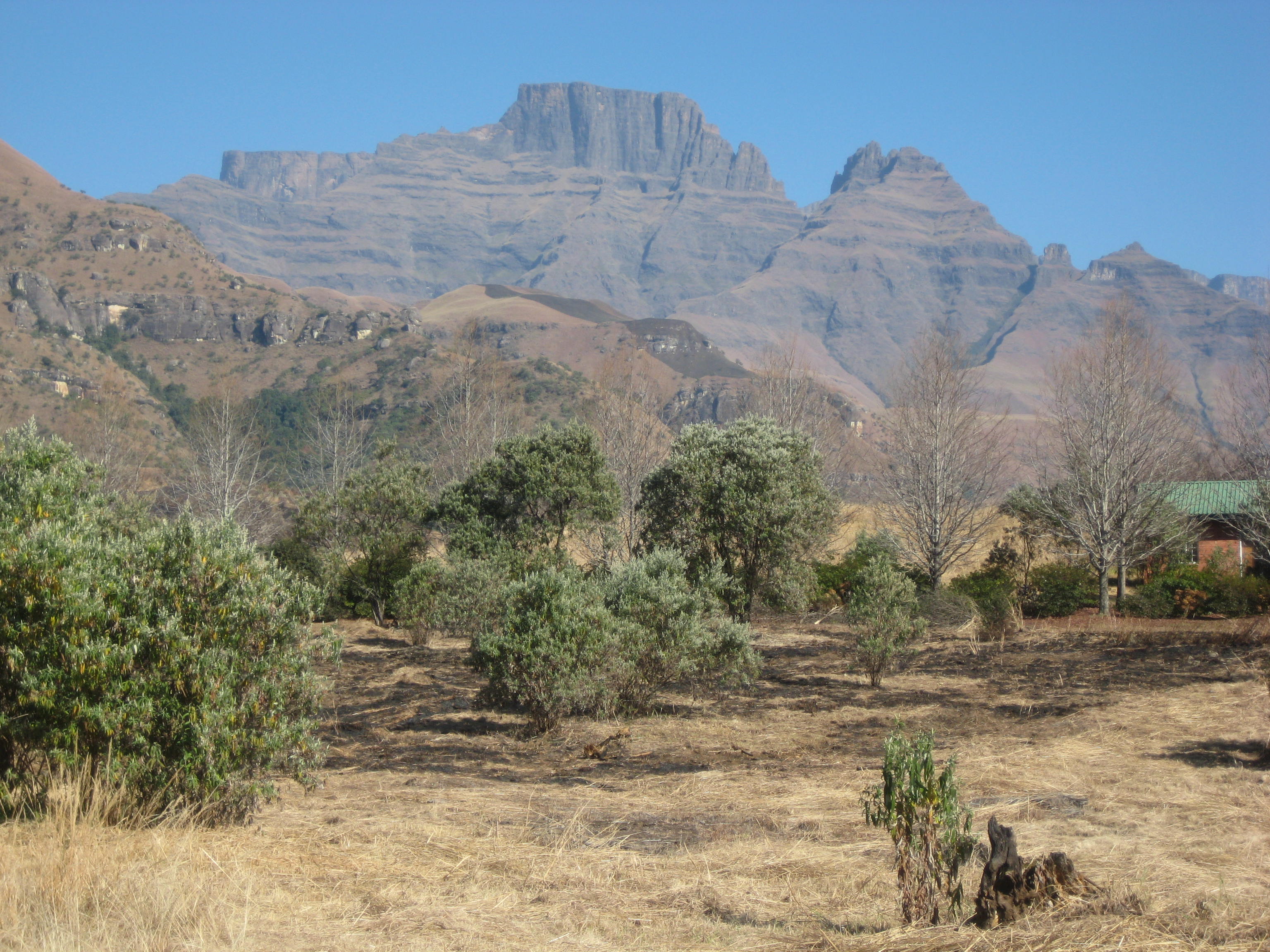 Engaging Communities of Practice for Better Wetland Management 