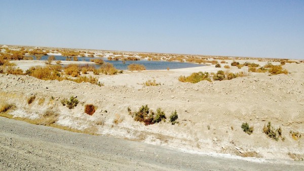 Ecological disaster looms in Iran’s dying wetlands