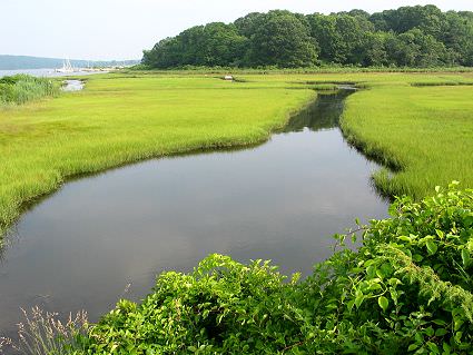 Predicting ​Marsh ​Vulnerability ​to Sea-level ​Rise