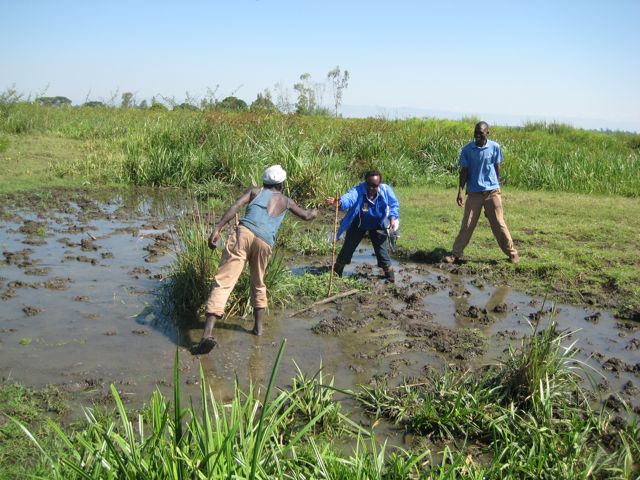 What is a "wetland" for the purpose of this debate?