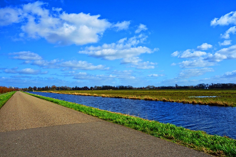 Restoring Canals Shown as Cost-efficient Way to Reverse Wetland Loss